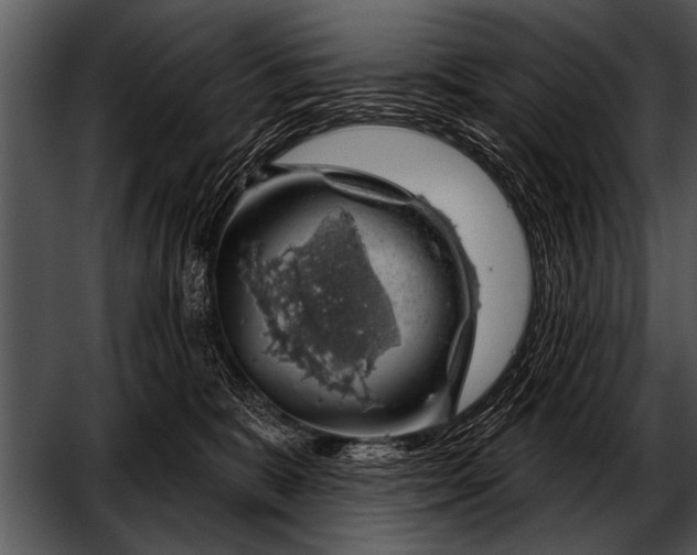 X0000052640327200507160203