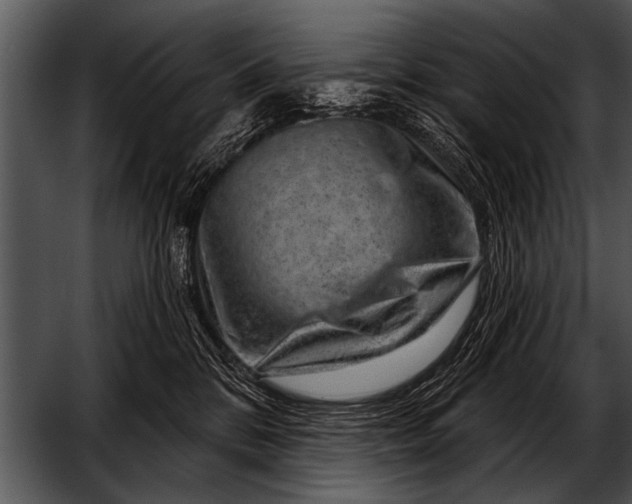 X0000052640328200507160203