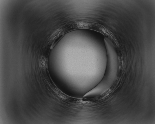 X0000052640329200507160203