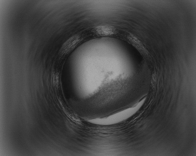 X0000052640330200507160203