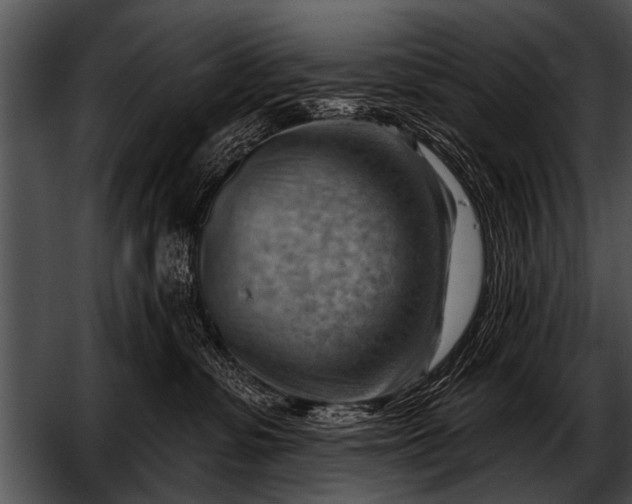 X0000052640331200507160203