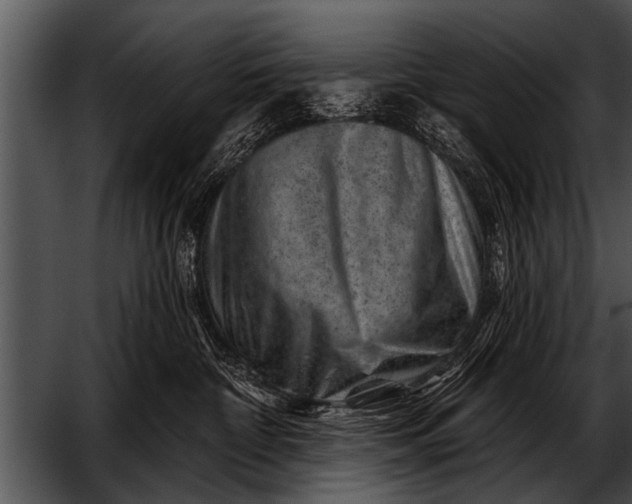 X0000052640332200507160203