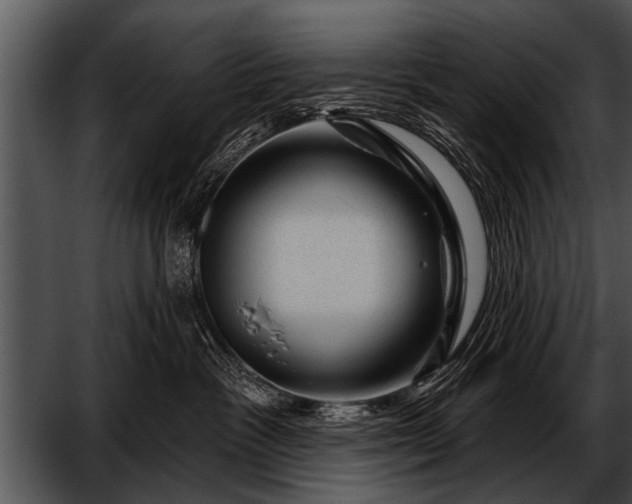 X0000052640333200507160203