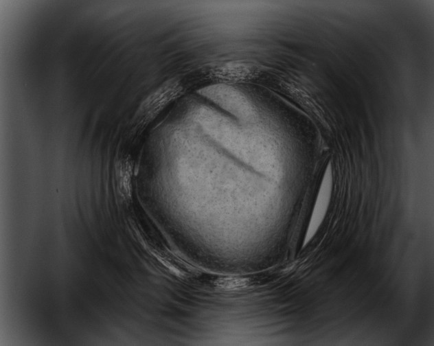 X0000052640334200507160203