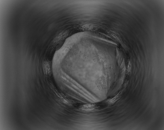 X0000052640335200507160203