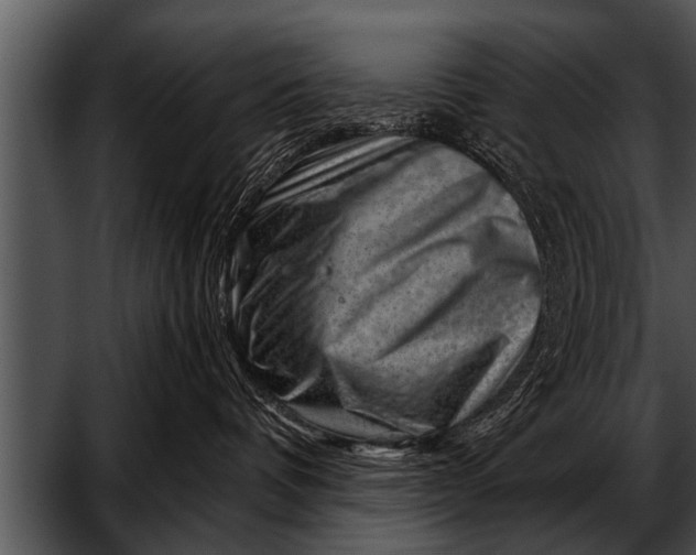 X0000052640336200507160203