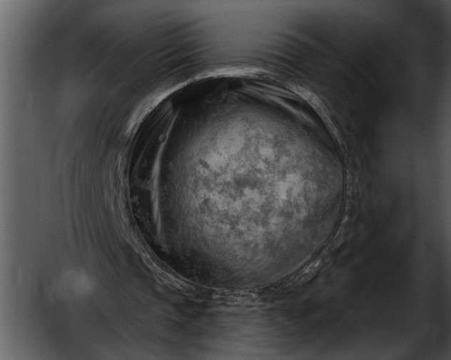 X0000052640337200507160202