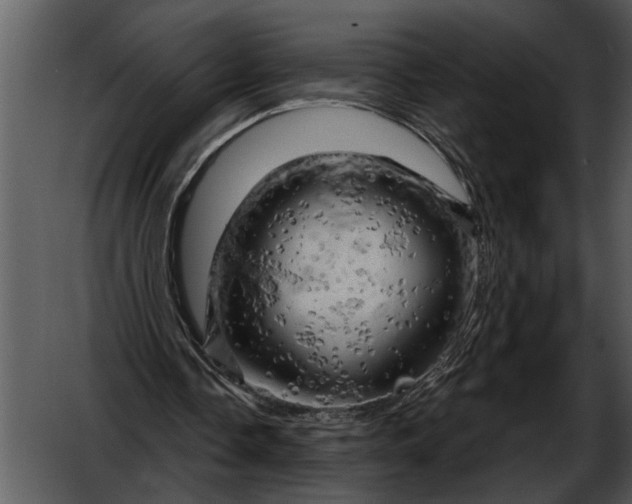 X0000052640338200507160202