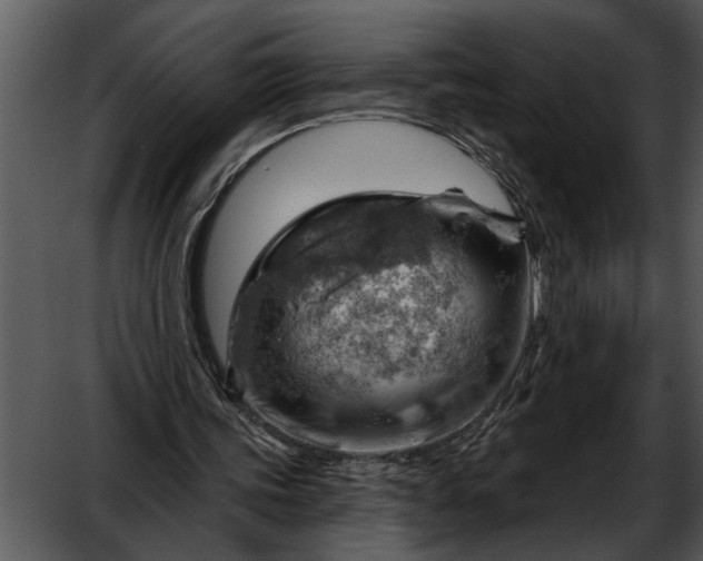 X0000052640339200507160202