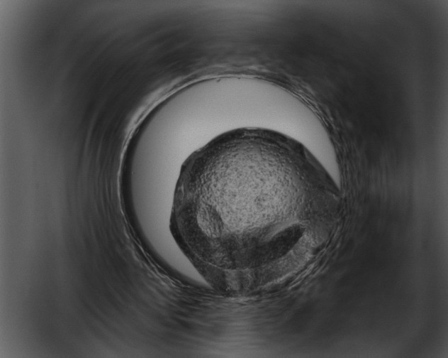 X0000052640340200507160202