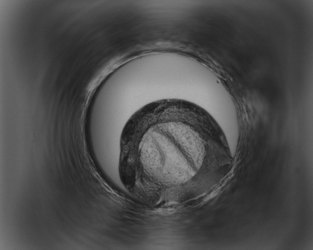 X0000052640341200507160202