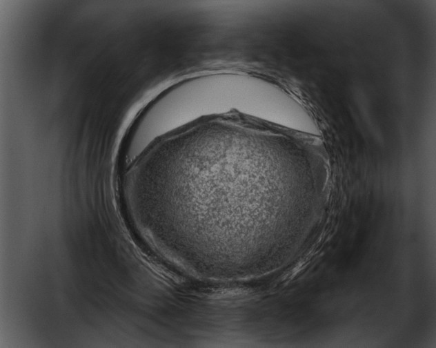 X0000052640342200507160202