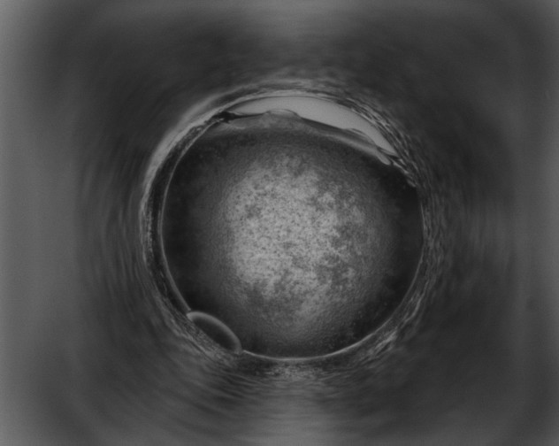 X0000052640343200507160202