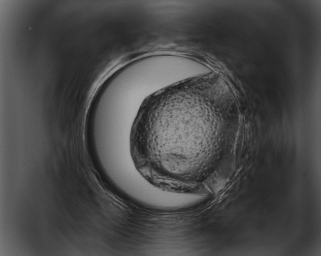 X0000052640344200507160202