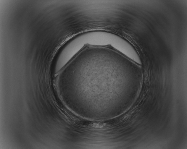 X0000052640346200507160202