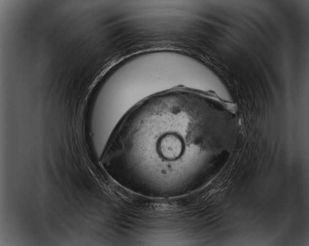 X0000052640347200507160202