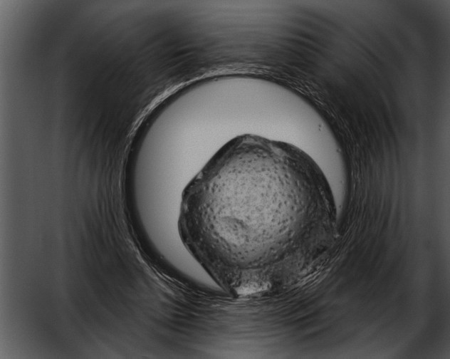 X0000052640348200507160202