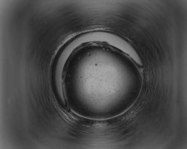 X0000052640350200507160203