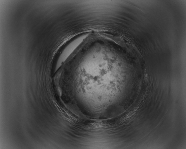 X0000052640351200507160203