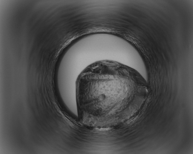 X0000052640352200507160203