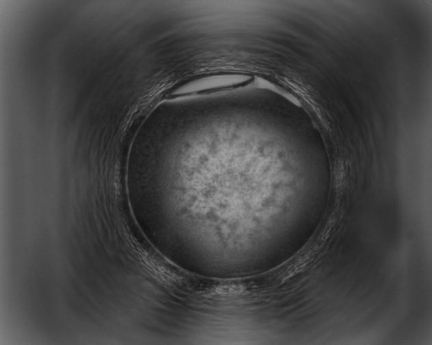 X0000052640353200507160203