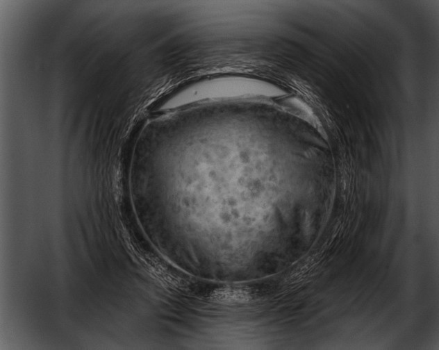 X0000052640354200507160203