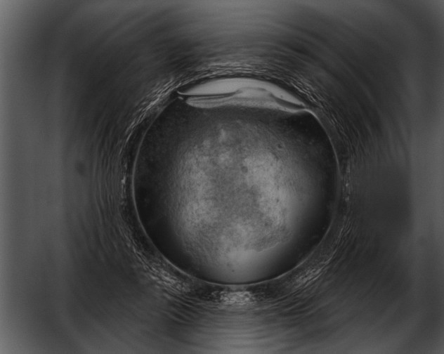 X0000052640355200507160203