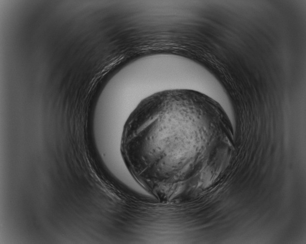 X0000052640356200507160203