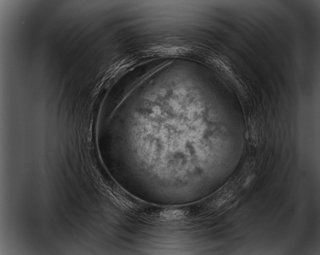 X0000052640357200507160203