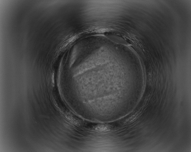 X0000052640358200507160203