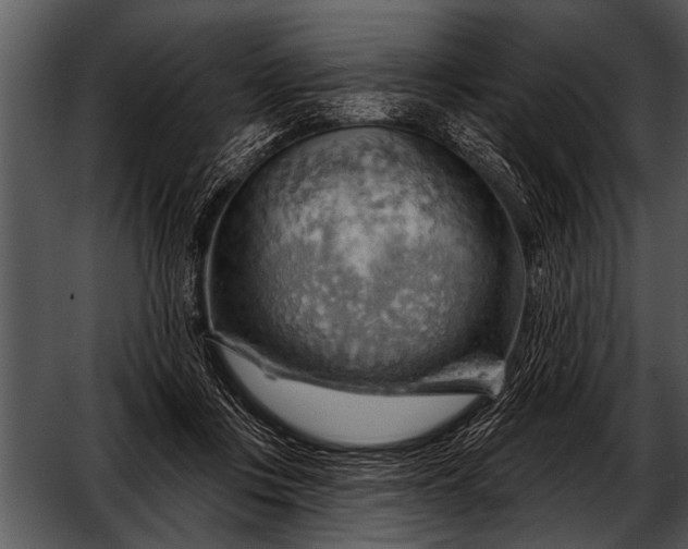 X0000052640359200507160203