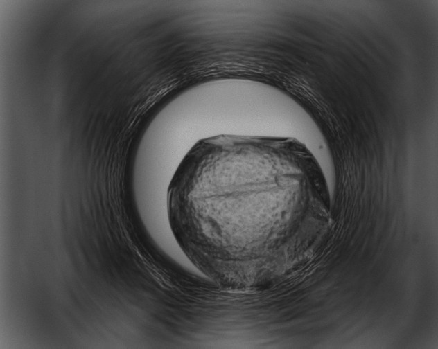 X0000052640360200507160203