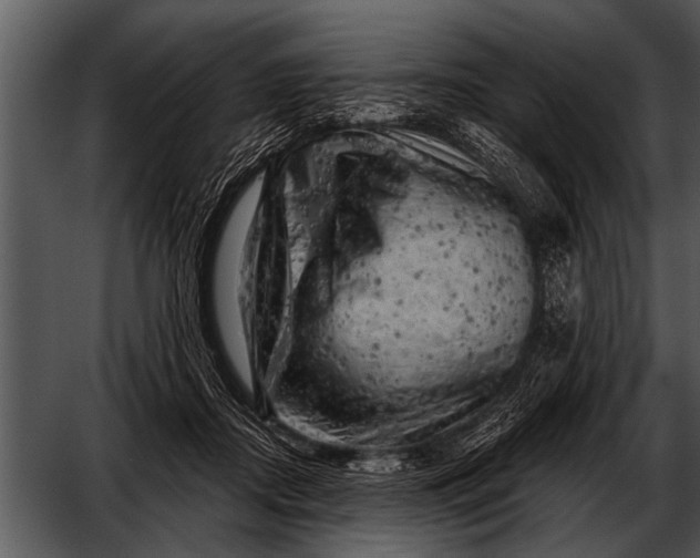 X0000052640362200507160203