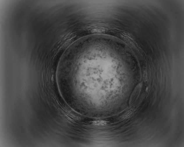 X0000052640363200507160203