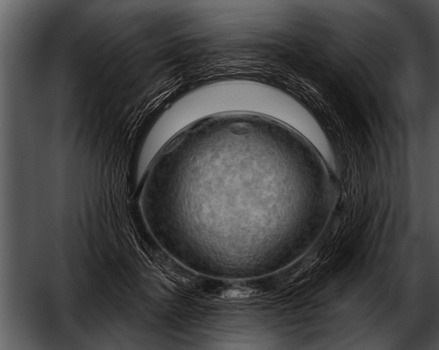 X0000052640364200507160203