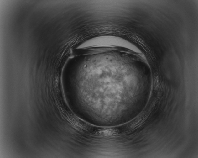 X0000052640365200507160203