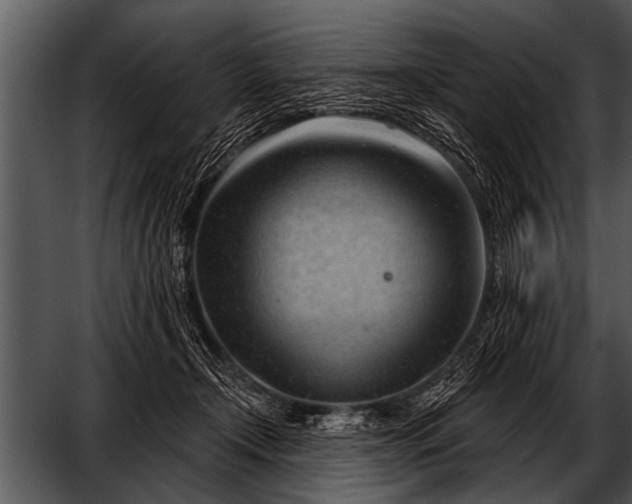 X0000052640366200507160203