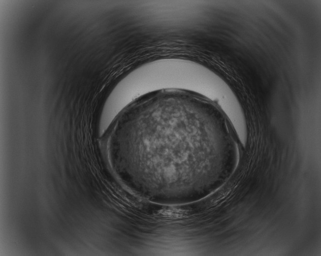 X0000052640367200507160203