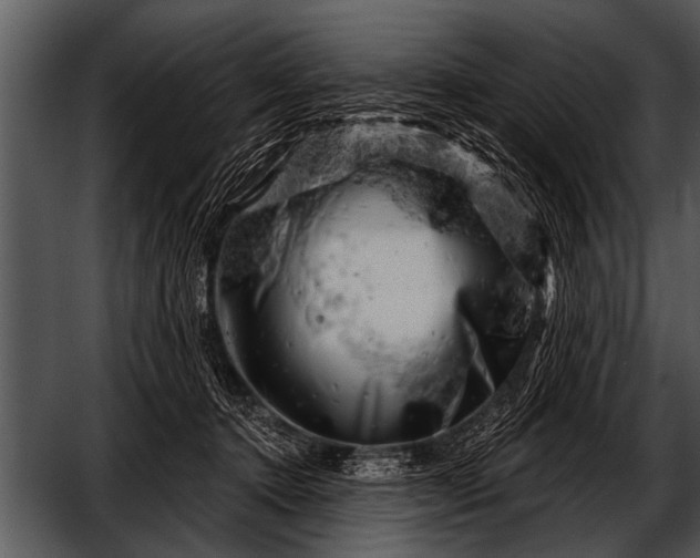 X0000052640368200507160203