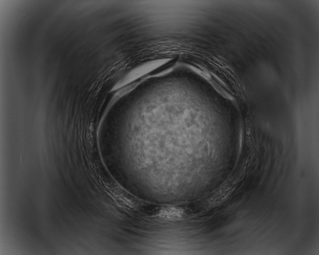 X0000052640369200507160203