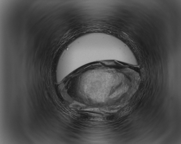 X0000052640370200507160203