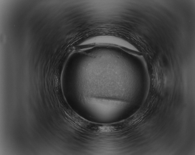 X0000052640371200507160203