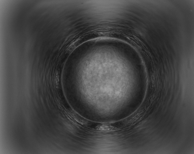 X0000052640372200507160203