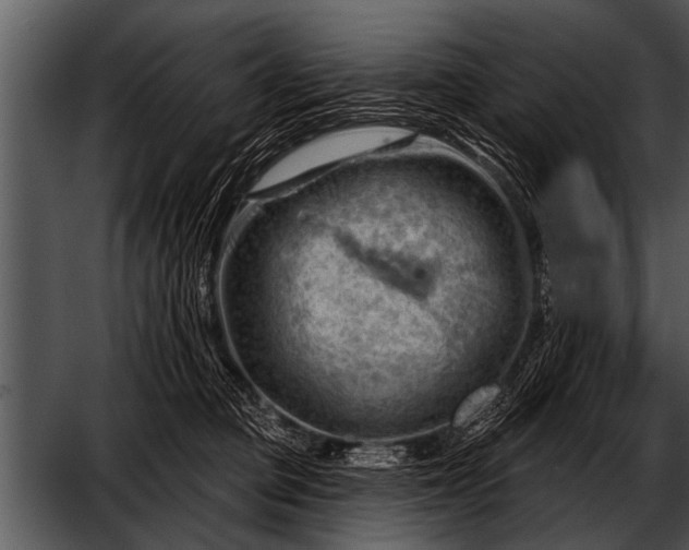 X0000052640373200507160203