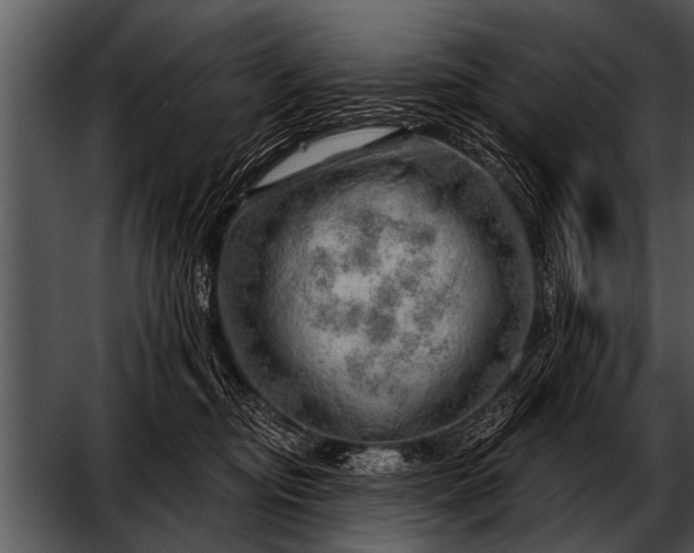 X0000052640374200507160203