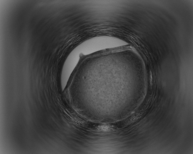 X0000052640375200507160203