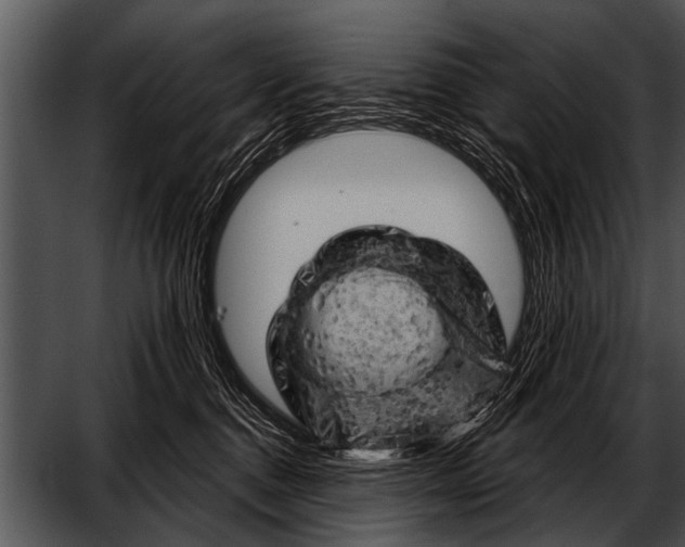 X0000052640376200507160203