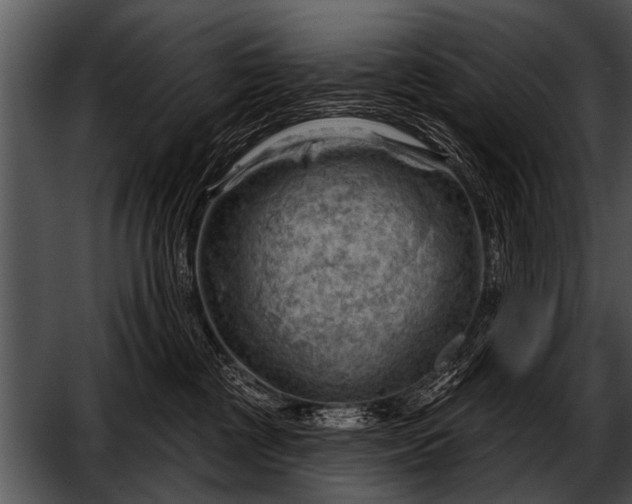 X0000052640377200507160203