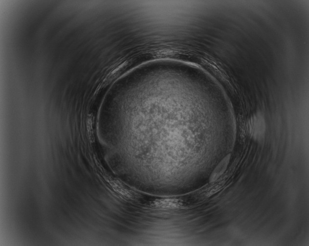 X0000052640378200507160203