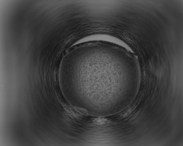 X0000052640379200507160203